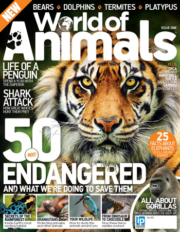 Imagine to launch World Of Animals magazine - Media MergersMedia Mergers
